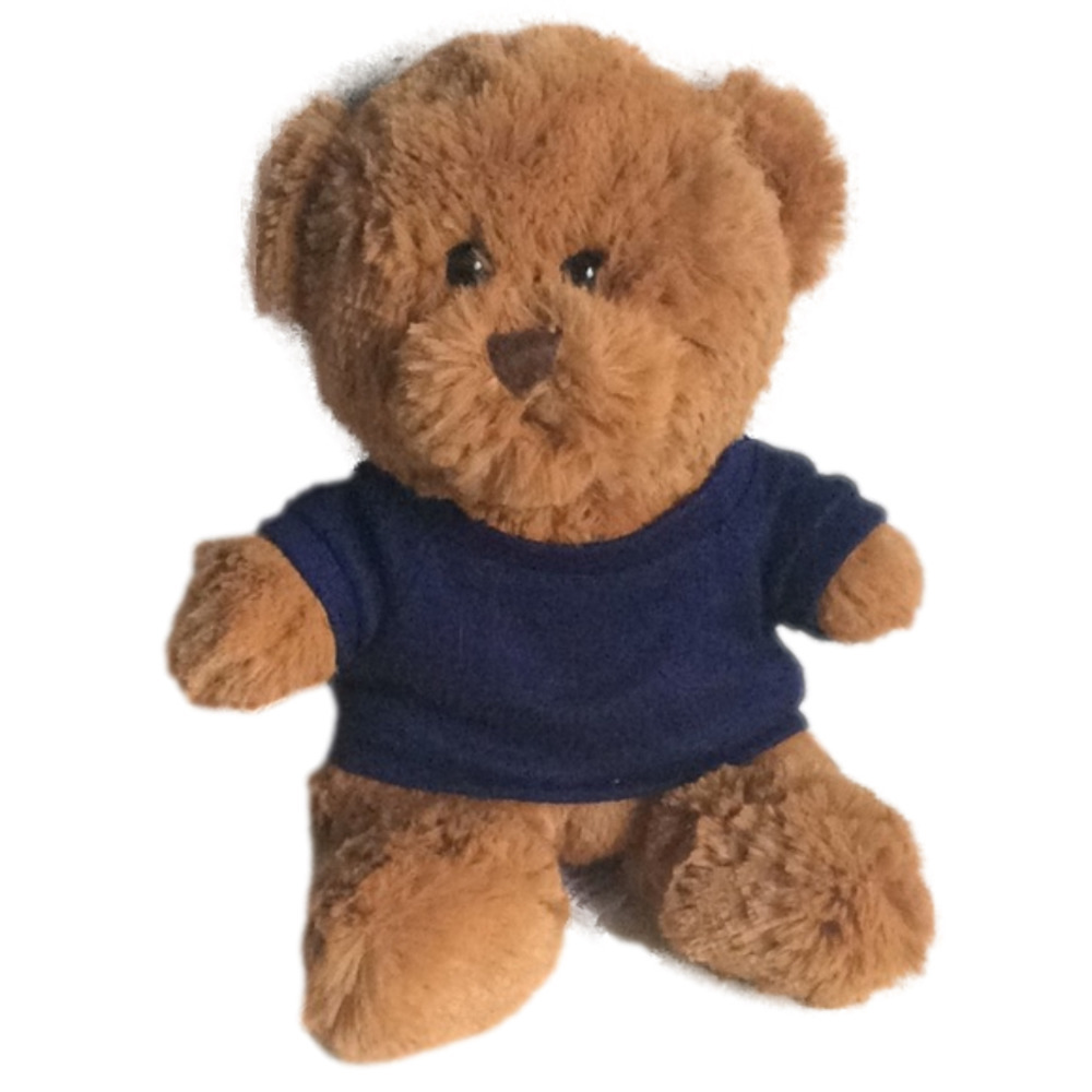Brown Teddy Bear with Blue Tee Shirt/Steven Smith